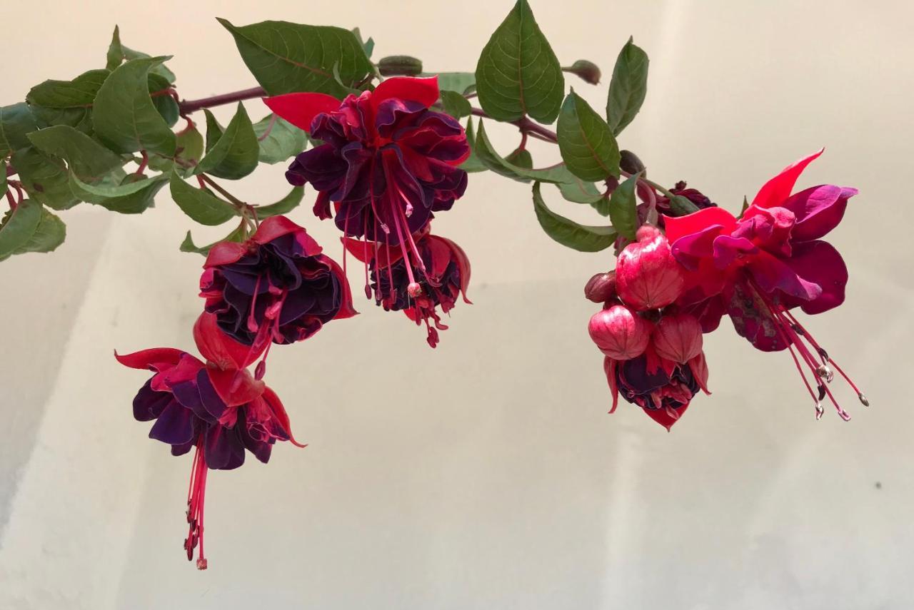Ceu Sobre Montejunto Boutique B&B Cadaval エクステリア 写真