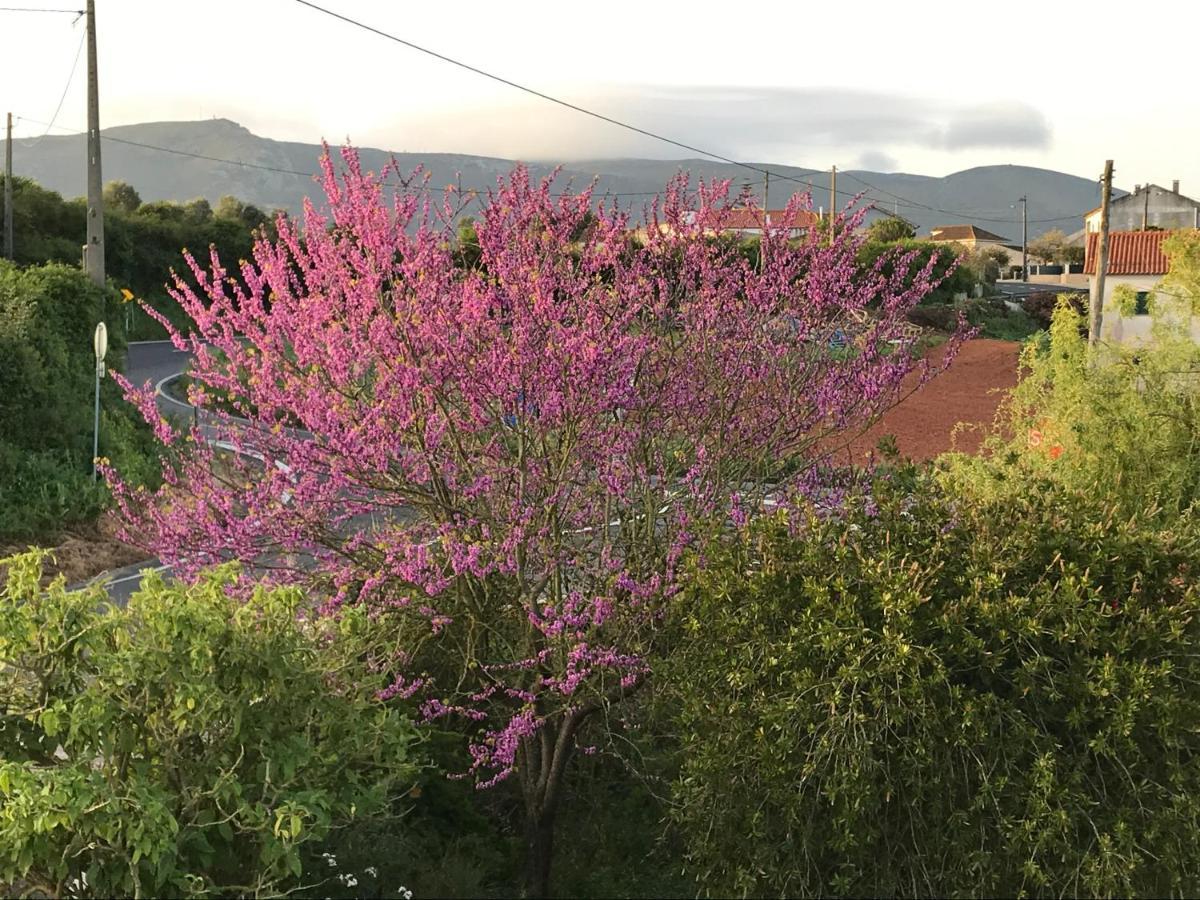 Ceu Sobre Montejunto Boutique B&B Cadaval エクステリア 写真